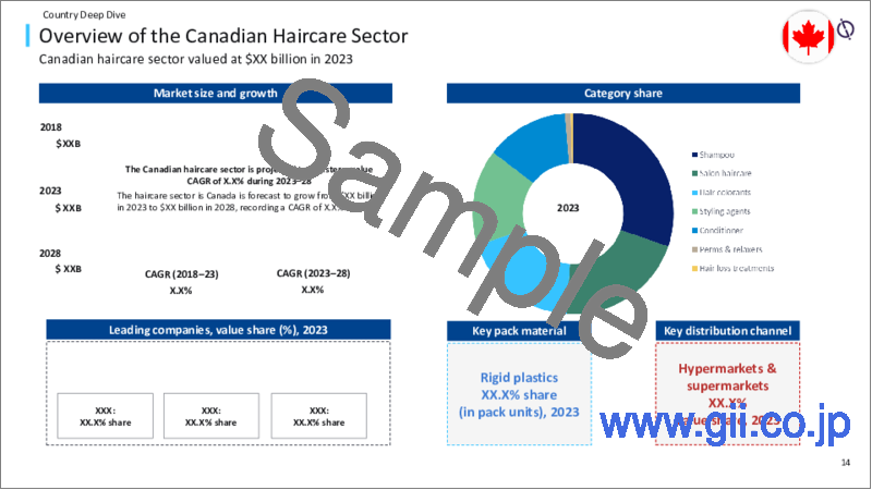 サンプル1：世界のヘアケア部門の機会（2024年）