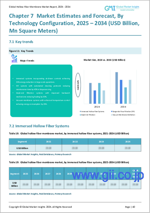 サンプル2:中空糸膜市場の成長機会、成長促進要因、産業動向分析、2024~2032年予測