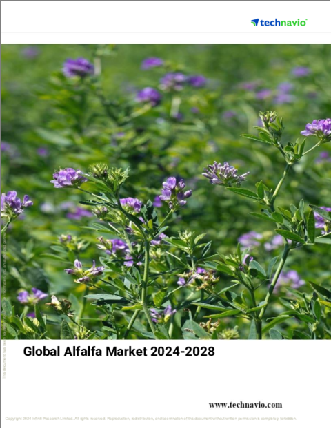 表紙：アルファルファの世界市場、2024～2028年