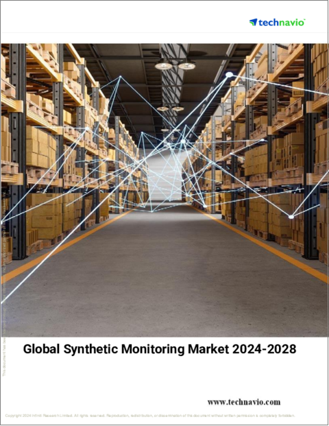 表紙：合成モニタリングの世界市場、2024～2028年