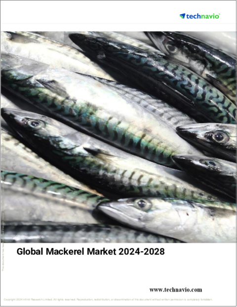 表紙：サバの世界市場、2024～2028年
