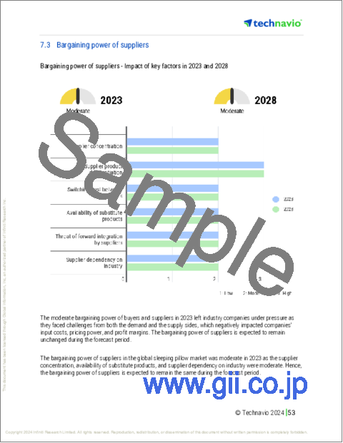 サンプル2：スリーピングピローの世界市場 (2024～2028年)