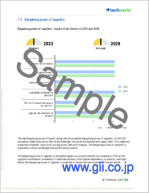 サンプル2：有機大豆タンパク質の世界市場 (2024～2028年)