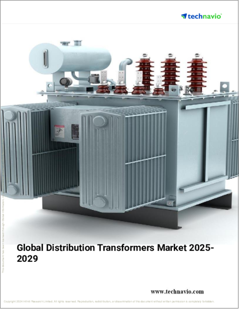 表紙：配電用変圧器の世界市場 2025-2029年
