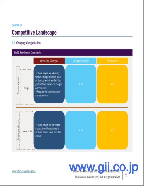 サンプル2:Eバイクの市場規模、シェア、動向分析レポート:駆動方式別、バッテリー別、最終用途別、地域別、セグメント予測、2025年~2030年