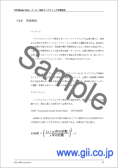 サンプル2：ITR Market View：メール／Webマーケティング市場2025