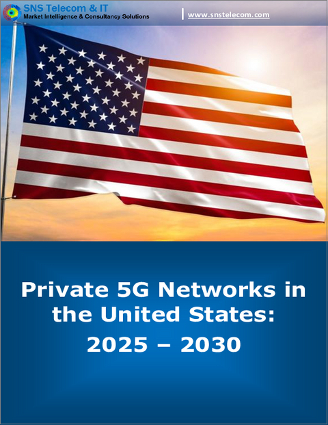 表紙：米国のプライベート5Gネットワーク（2024年～2030年）