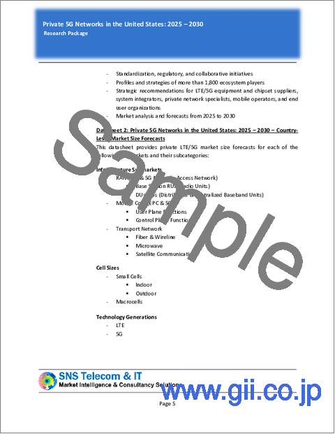 サンプル2：米国のプライベート5Gネットワーク（2024年～2030年）