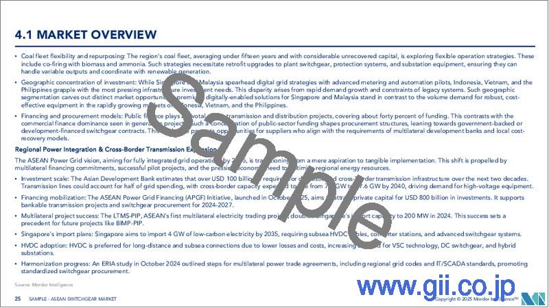 サンプル2：ASEAN諸国の開閉装置：市場シェア分析、産業動向、成長予測（2025年～2030年）