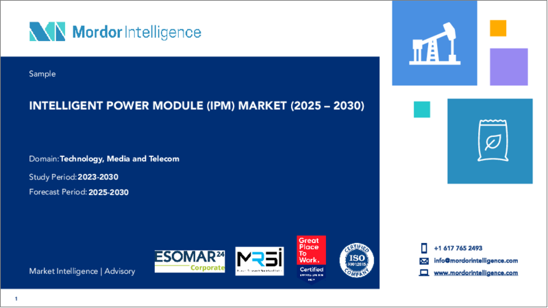 表紙：インテリジェントパワーモジュール（IPM）-市場シェア分析、産業動向・統計、成長予測（2025年～2030年）
