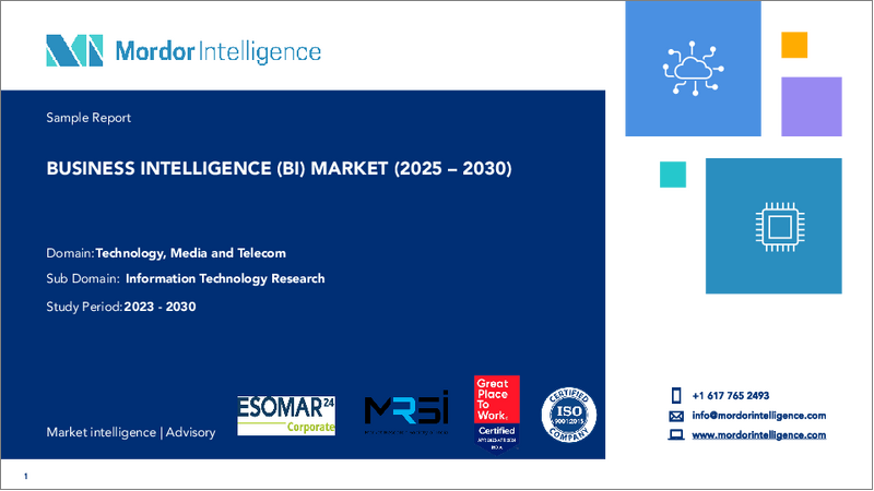 表紙：ビジネスインテリジェンス（BI）：市場シェア分析、産業動向・統計、成長予測（2025年～2030年）