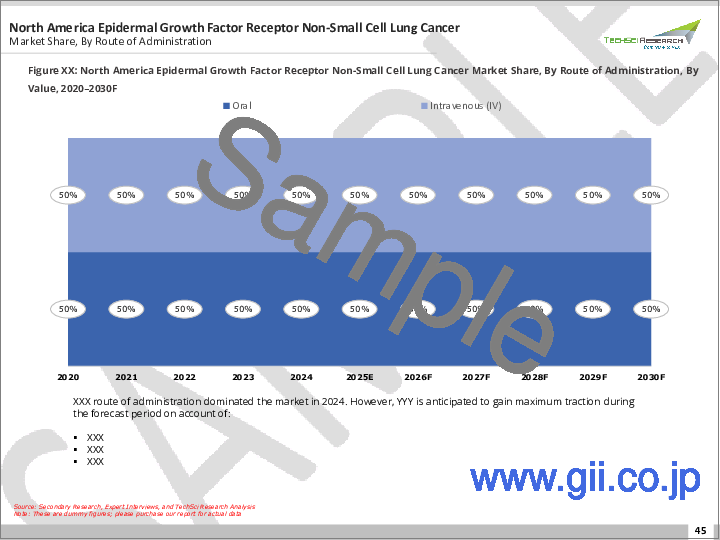 サンプル2：上皮成長因子受容体 - 非小細胞肺がん（EGFR-NSCLC）の世界市場 - 産業規模、シェア、動向、機会、予測：薬剤タイプ別、流通チャネル別、地域別、競合別（2020年～2030年）