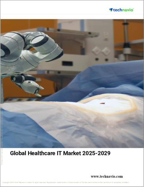 表紙：ヘルスケアITの世界市場、2025-2029年