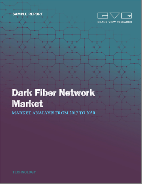 表紙：ダークファイバーネットワークの市場規模、シェア、動向分析レポート：ファイバータイプ別、ネットワークタイプ別、素材別、用途別、地域別、セグメント予測、2025年～2030年