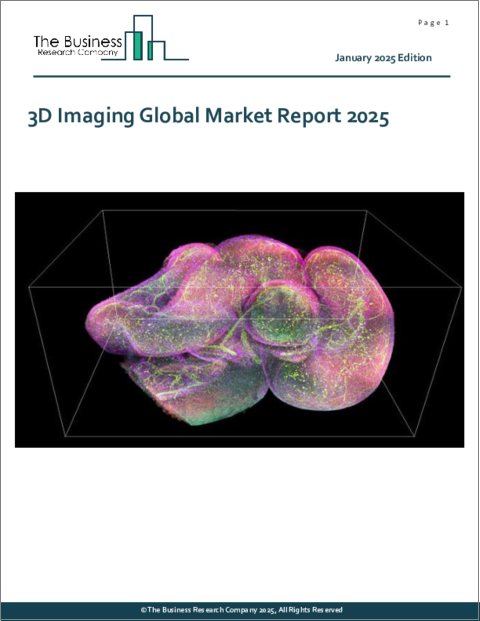 表紙：3D画像の世界市場レポート 2025年