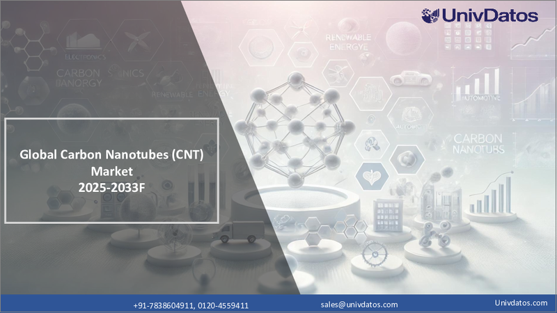 表紙：カーボンナノチューブ（CNT）市場：現状分析と予測（2024-2032年）