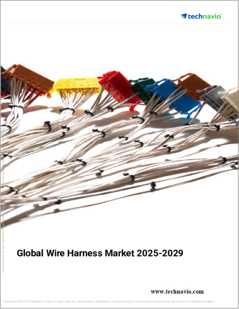 表紙：ワイヤーハーネスの世界市場、2025-2029年