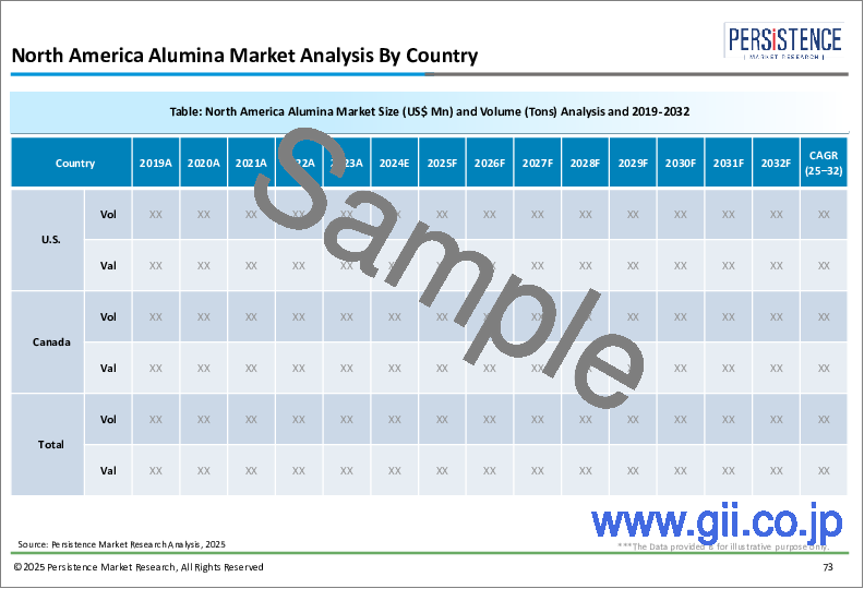 サンプル2：アルミナの世界市場：業界分析、規模、シェア、成長、動向、予測（2025年～2032年）