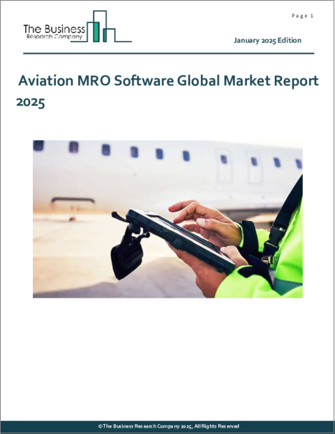 表紙：航空MROソフトウェアの世界市場レポート 2025年