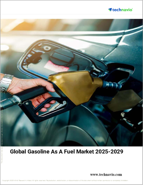 表紙：燃料としてのガソリン世界市場 2025～2029年