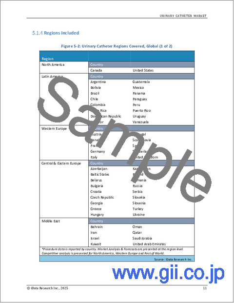 サンプル2：尿道カテーテルの世界市場：規模、シェア、動向分析（2025年～2031年）：MedCore