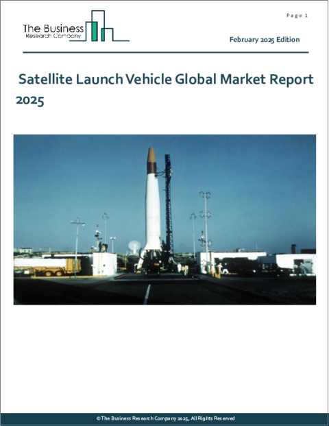 表紙：衛星打上げ輸送機の世界市場レポート 2025年