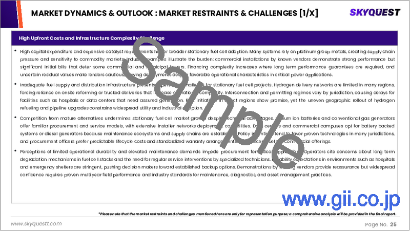 サンプル1：据置型燃料電池の市場規模、シェア、成長分析：製品タイプ別、出力定格別、用途別、地域別 - 産業予測 2025～2032年