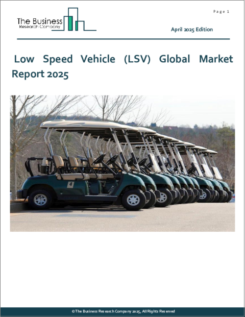 表紙：低速車（LSV）の世界市場レポート 2025年