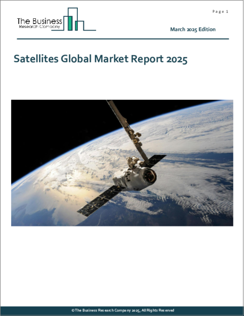 表紙：人工衛星の世界市場レポート 2025