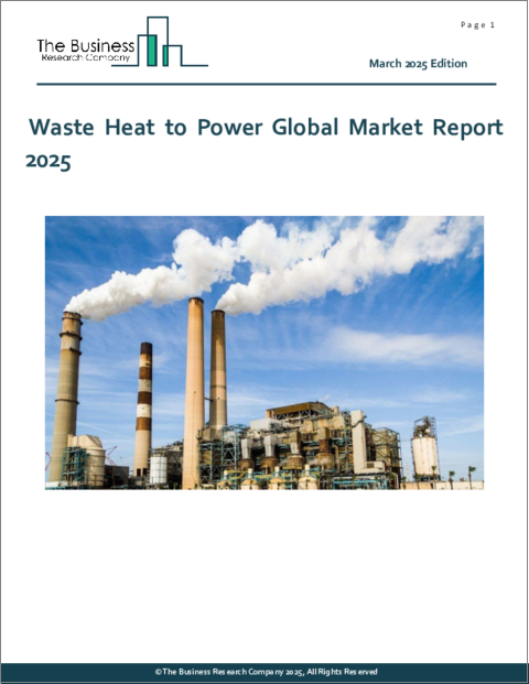 表紙：廃熱発電の世界市場レポート 2025年