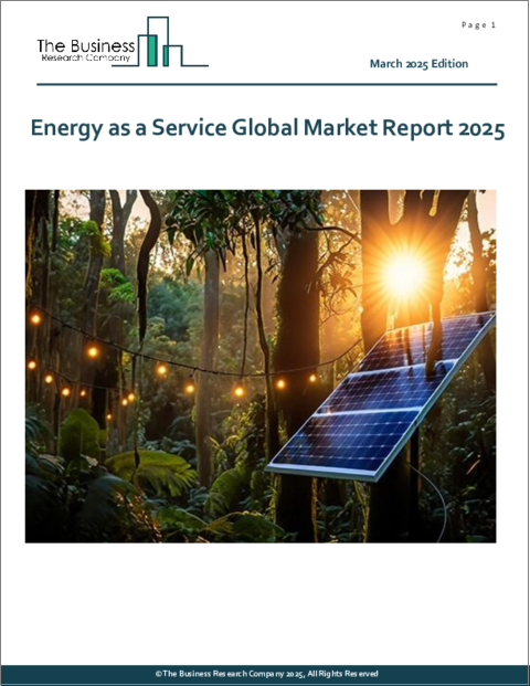 表紙：サービスとしてのエネルギーの世界市場レポート 2025