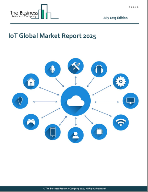 表紙：IoTの世界市場レポート2025年