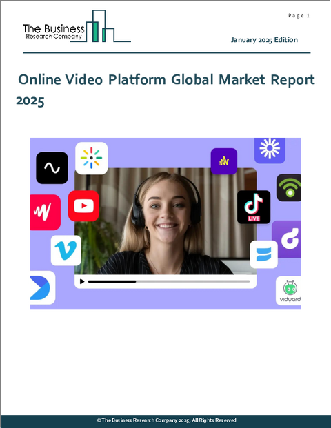 表紙：オンライン動画プラットフォームの世界市場レポート 2025年