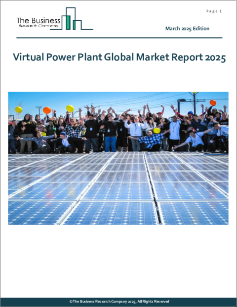 表紙：仮想発電所の世界市場レポート 2025年