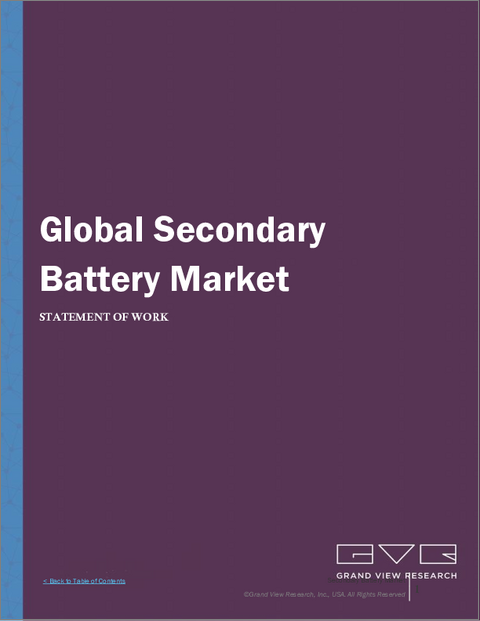 表紙:二次電池の市場規模、シェア、動向分析レポート:タイプ別、用途別、地域別、セグメント予測、2025年~2030年
