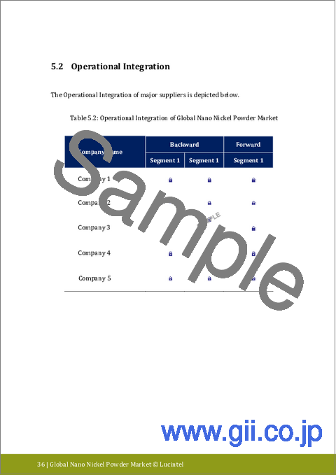 サンプル2：ナノニッケル粉末市場レポート：2031年までの動向、予測、競合分析