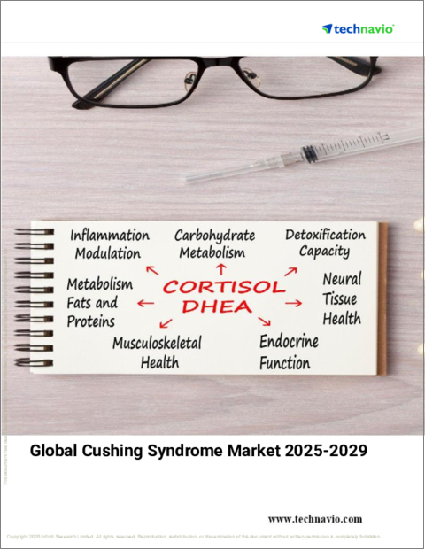 表紙：クッシング症候群の世界市場、2025-2029年