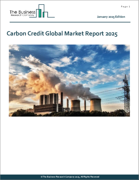 表紙：炭素クレジットの世界市場レポート 2025