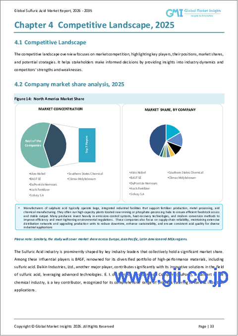 サンプル2：硫酸市場の機会、成長促進要因、産業動向分析、2025年～2034年の予測
