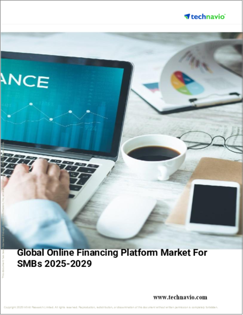 表紙：中小企業向けオンライン融資プラットフォームの世界市場 2025～2029年