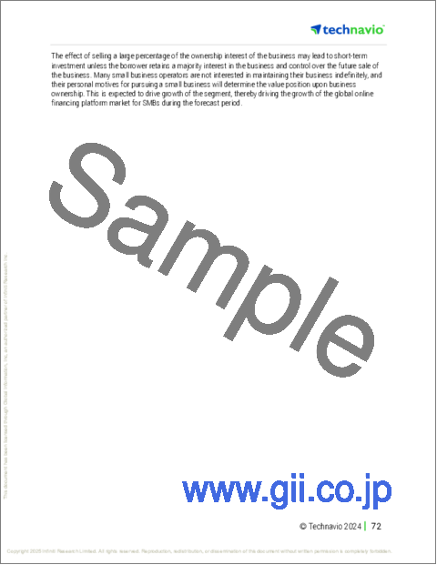 サンプル2：中小企業向けオンライン融資プラットフォームの世界市場 2025～2029年