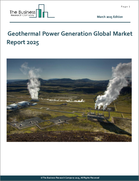 表紙：地熱発電の世界市場レポート 2025年