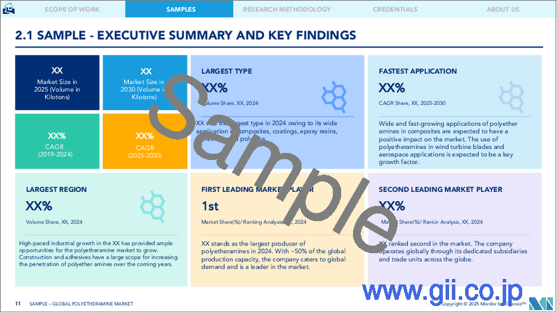 サンプル1：ポリエーテルアミン：市場シェア分析、産業動向、成長予測（2025年～2030年）
