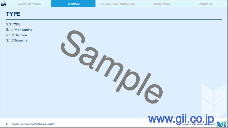 サンプル2：ポリエーテルアミン：市場シェア分析、産業動向、成長予測（2025年～2030年）