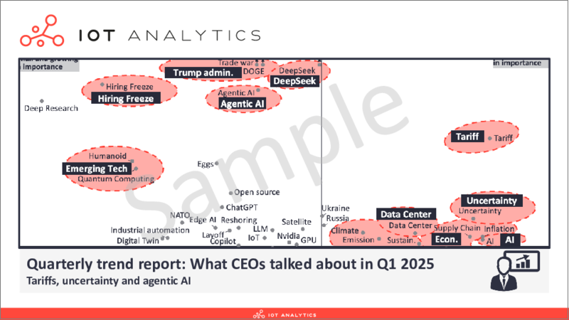 表紙：四半期動向レポート：2025年第1四半期におけるCEOの談話