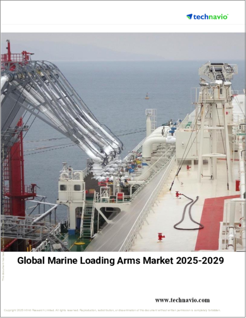 表紙：舶用ローディングアームの世界市場 2025-2029