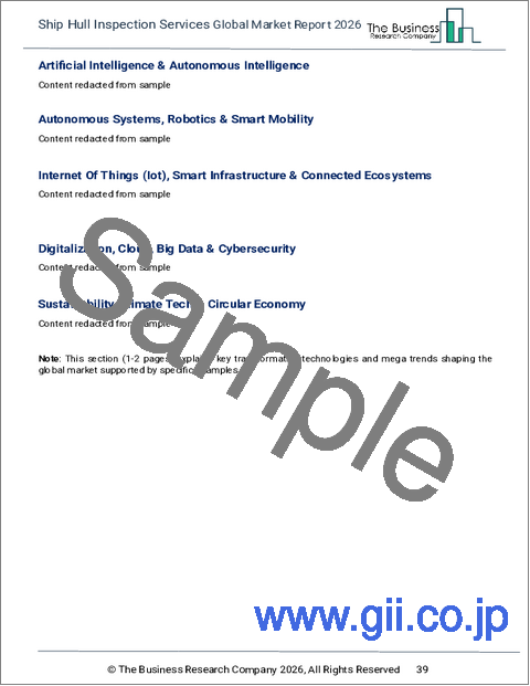 サンプル1：船体検査サービスの世界市場レポート 2025年
