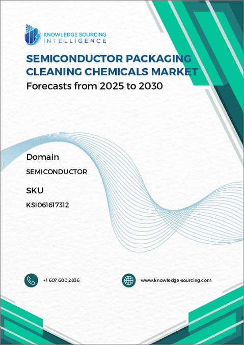 表紙：半導体パッケージ用洗浄剤市場：将来予測 (2025年～2030年)