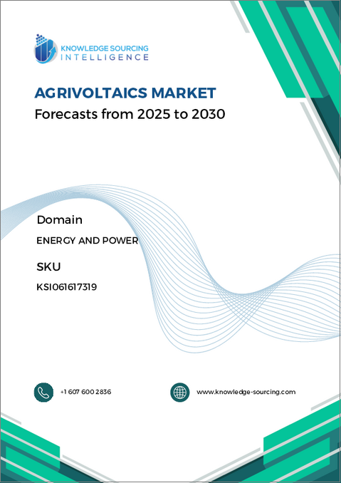 表紙：アグロボルタイクス（営農型太陽光発電）市場：将来予測 (2025年～2030年)