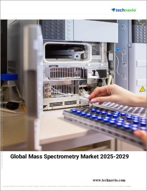 表紙：質量分析の世界市場 2025年-2029年